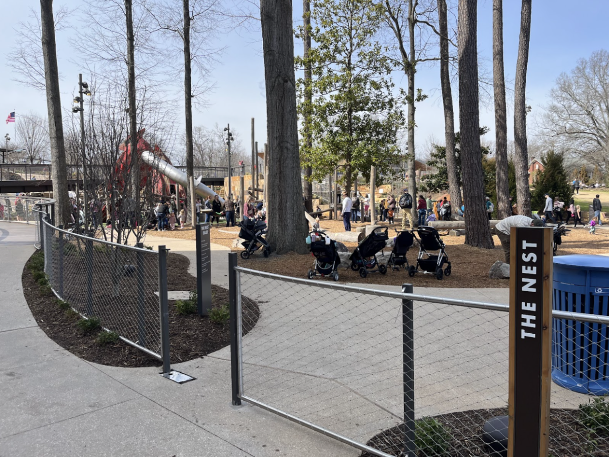 Downtown Cary Park has a section called “The Nest” which is a play area for younger children. 